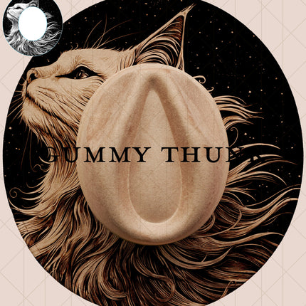 Cat On the Hat Digital Laser Design and Template Wide Brim Hat SVG File Only